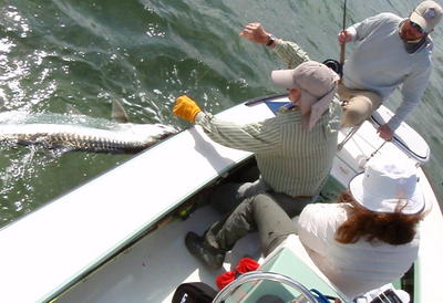 Dick Resnick helps Tim Pask bring a large tarpon to boat side.