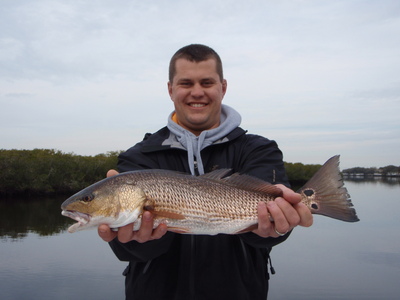 Tampa bay redfish action!