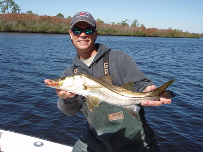 Snook are still alive!