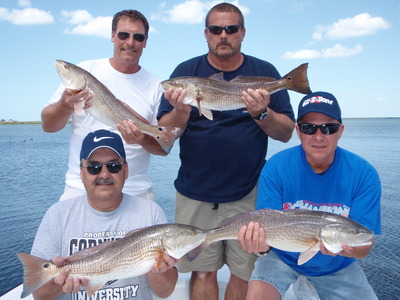 Great Redfishing Tampa Bay!