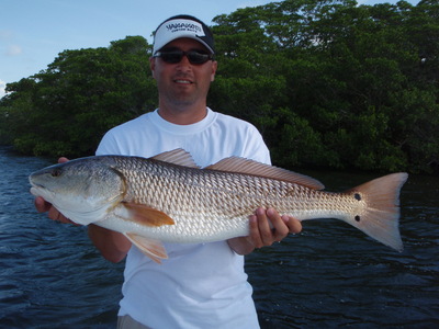 Another Over Size Redfish Caught In Tampa Bay!
