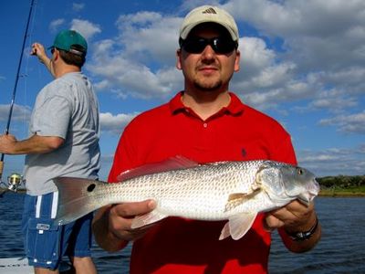 Redfish on the pristine flats of Mosquito Lagoon
