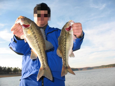 Average Allatoona Spots