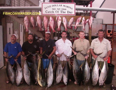 Tuna Fishing Charters