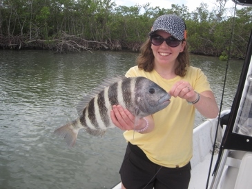 19 inch sheepshead--Estero Bay