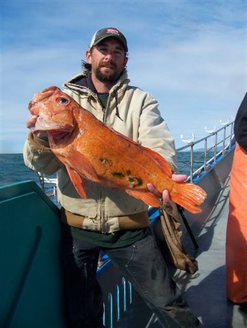 Lee Gualtieri caught a jumbo Vermillion