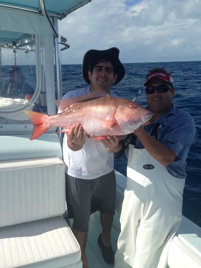 Big Mutton Snapper