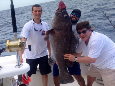 Giant Warsaw grouper caught deep dropping
