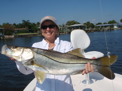 nice snook