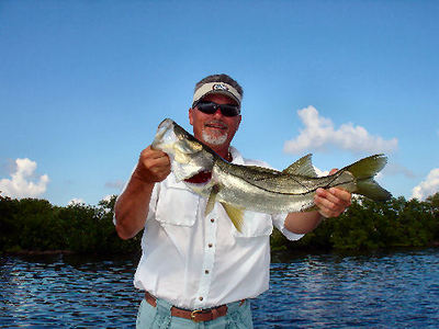 Typical Florida Bay Snook