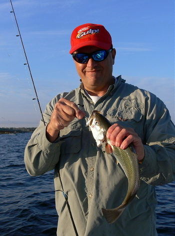 White Trout caught at 3-mile bridge