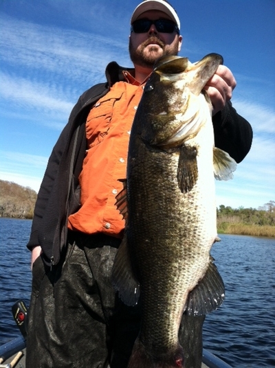Wills Trophy Bass 9 lbs