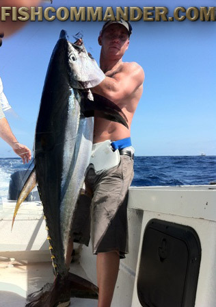 Giant tuna