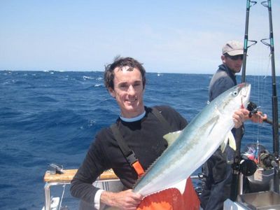 A pan size yellowtail of 8kg
