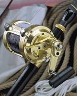 Alutecnos Albacore 2 Speed Conventional Reels Reviews 